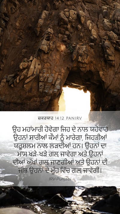 ਜ਼ਕਰਯਾਹ 14:12 PANIRV Bible Verse Image