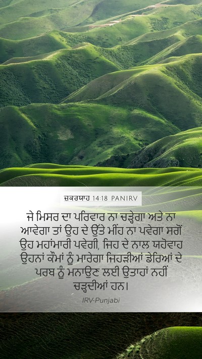 ਜ਼ਕਰਯਾਹ 14:18 PANIRV Bible Verse Image