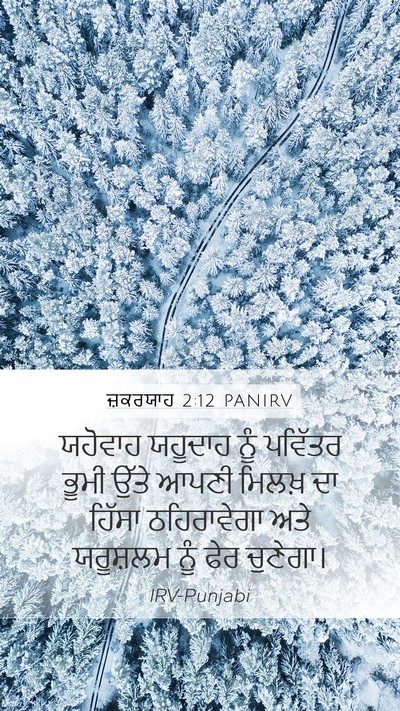 ਜ਼ਕਰਯਾਹ 2:12 PANIRV Bible Verse Image