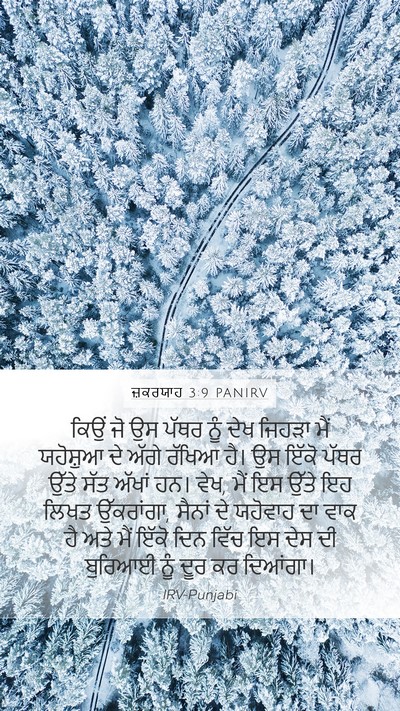 ਜ਼ਕਰਯਾਹ 3:9 PANIRV Bible Verse Image