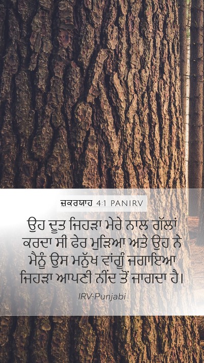 ਜ਼ਕਰਯਾਹ 4:1 PANIRV Mobile Phone Wallpaper - ਉਹ ਦੂਤ ਜਿਹੜਾ ਮੇਰੇ - Mobile Bible Verse Wallpaper