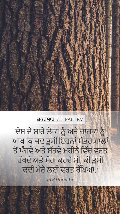 ਜ਼ਕਰਯਾਹ 7:5 PANIRV Bible Verse Image