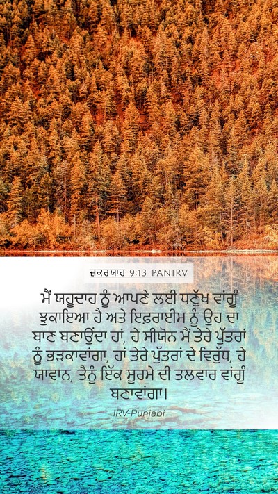 ਜ਼ਕਰਯਾਹ 9:13 PANIRV Bible Verse Image