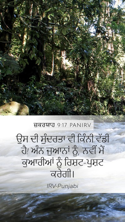 ਜ਼ਕਰਯਾਹ 9:17 PANIRV Bible Verse Image