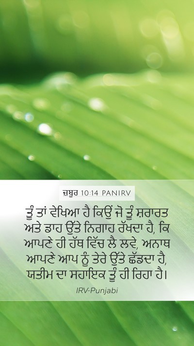 ਜ਼ਬੂਰ 10:14 PANIRV Bible Verse Image