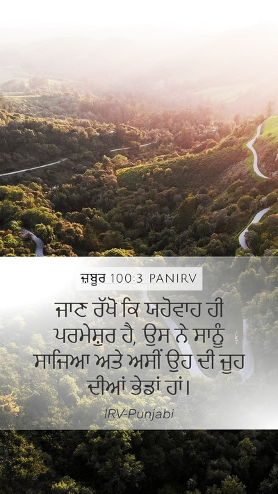 ਜ਼ਬੂਰ 100:3 PANIRV Bible Verse Image