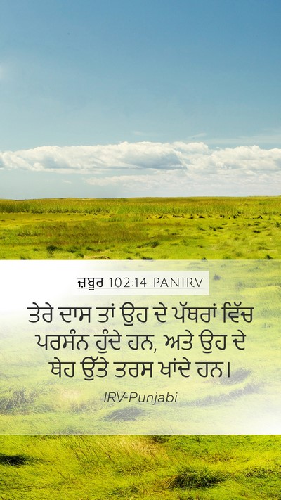 ਜ਼ਬੂਰ 102:14 PANIRV Mobile Phone Wallpaper - ਤੇਰੇ ਦਾਸ ਤਾਂ ਉਹ ਦੇ - Mobile Bible Verse Wallpaper