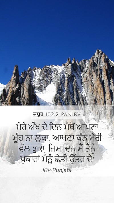 ਜ਼ਬੂਰ 102:2 PANIRV Bible Verse Image