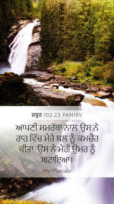 ਜ਼ਬੂਰ 102:23 PANIRV Bible Verse Image