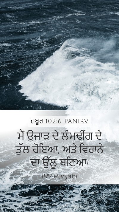 ਜ਼ਬੂਰ 102:6 PANIRV Bible Verse Image