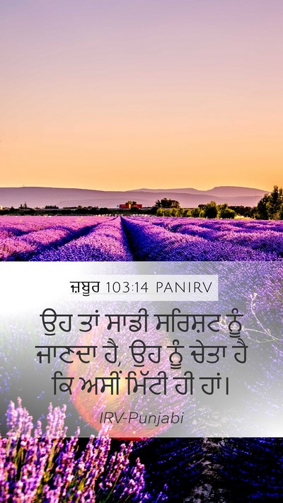 ਜ਼ਬੂਰ 103:14 PANIRV Bible Verse Image