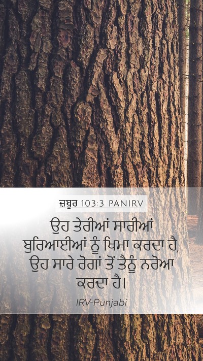 ਜ਼ਬੂਰ 103:3 PANIRV Bible Verse Image