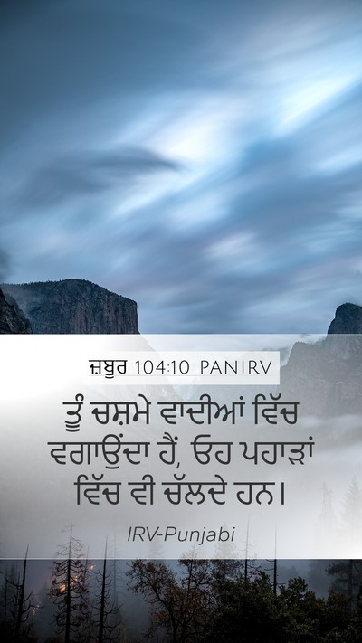 ਜ਼ਬੂਰ 104:10 PANIRV Bible Verse Image