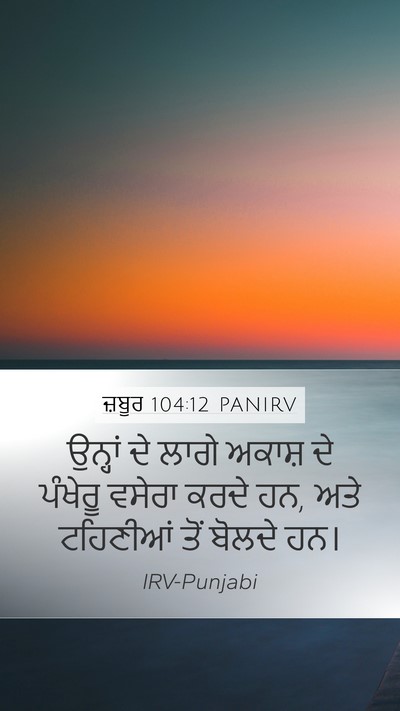 ਜ਼ਬੂਰ 104:12 PANIRV Bible Verse Image