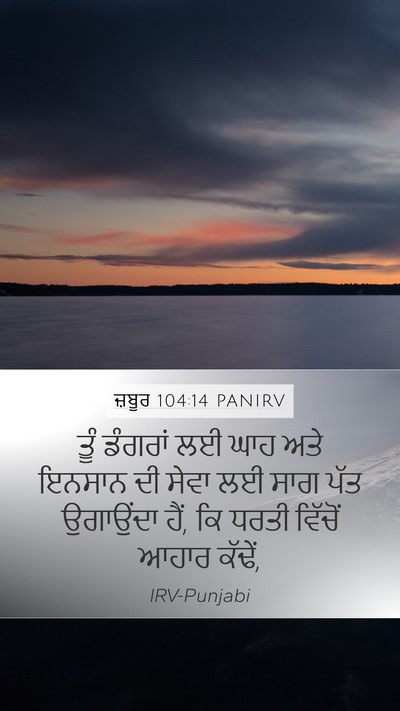 ਜ਼ਬੂਰ 104:14 PANIRV Bible Verse Image