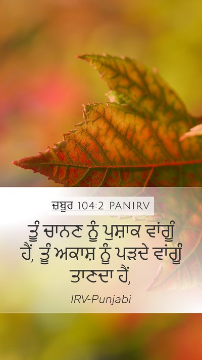 ਜ਼ਬੂਰ 104:2 PANIRV Bible Verse Image