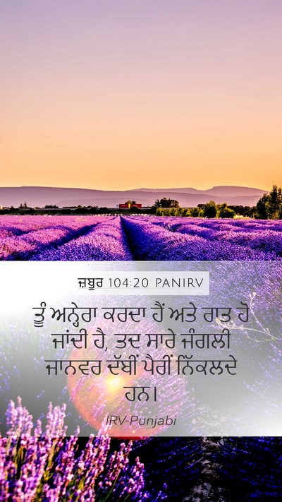 ਜ਼ਬੂਰ 104:20 PANIRV Bible Verse Image