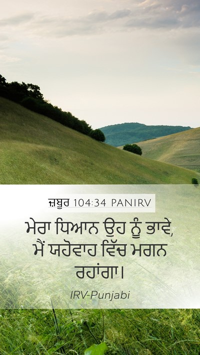 ਜ਼ਬੂਰ 104:34 PANIRV Bible Verse Image