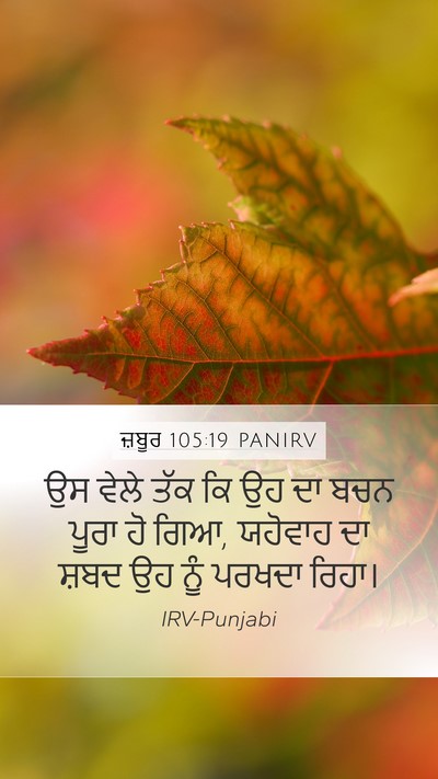 ਜ਼ਬੂਰ 105:19 PANIRV Bible Verse Image