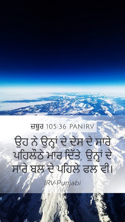 ਜ਼ਬੂਰ 105:36 PANIRV Bible Verse Image
