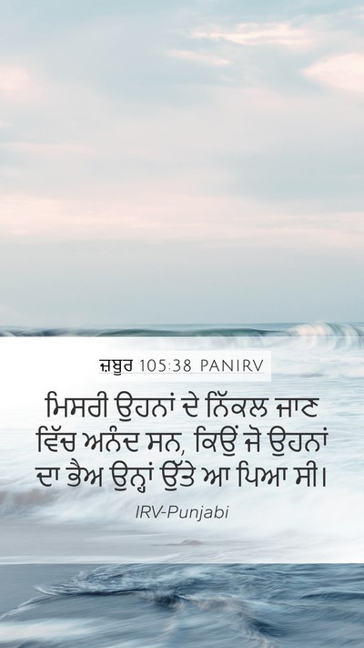 ਜ਼ਬੂਰ 105:38 PANIRV Bible Verse Image