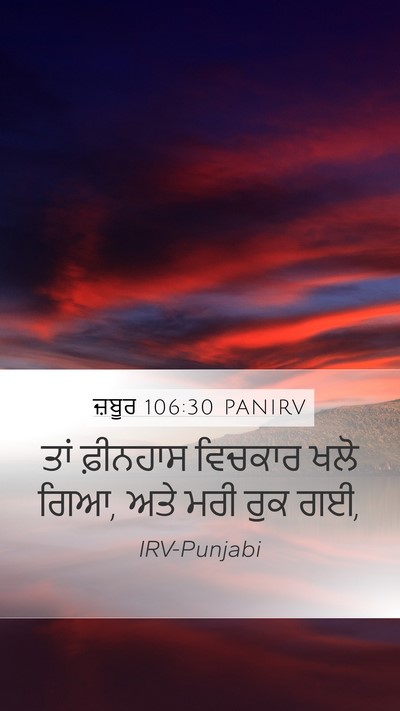 ਜ਼ਬੂਰ 106:30 PANIRV Bible Verse Image