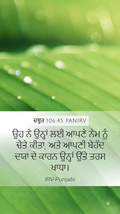 ਜ਼ਬੂਰ 106:45 PANIRV Bible Verse Image