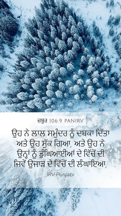 ਜ਼ਬੂਰ 106:9 PANIRV Bible Verse Image
