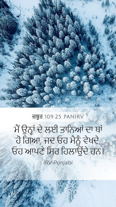 ਜ਼ਬੂਰ 109:25 PANIRV Bible Verse Image