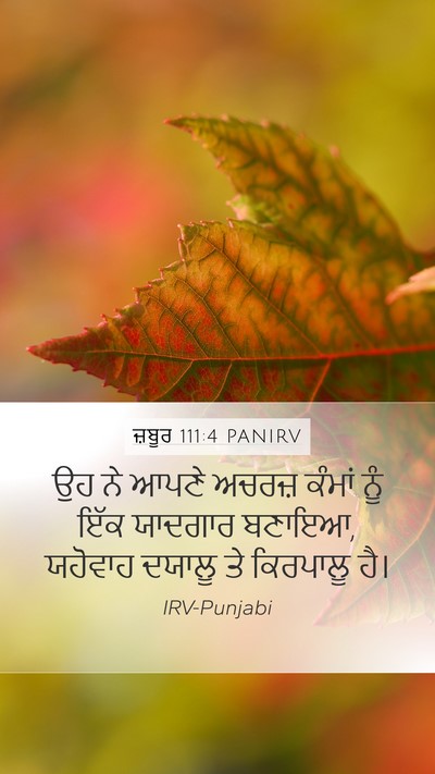 ਜ਼ਬੂਰ 111:4 PANIRV Bible Verse Image