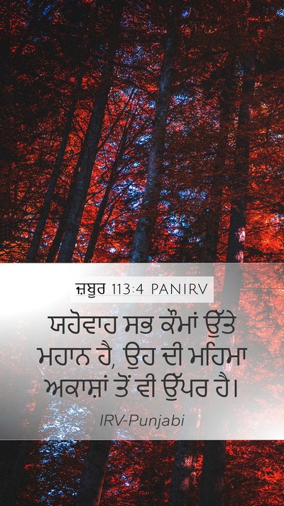 ਜ਼ਬੂਰ 113:4 PANIRV Bible Verse Image