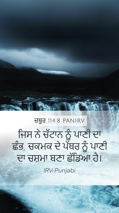 ਜ਼ਬੂਰ 114:8 PANIRV Mobile Phone Wallpaper - ਜਿਸ ਨੇ ਚੱਟਾਨ ਨੂੰ - Mobile Bible Verse Wallpaper
