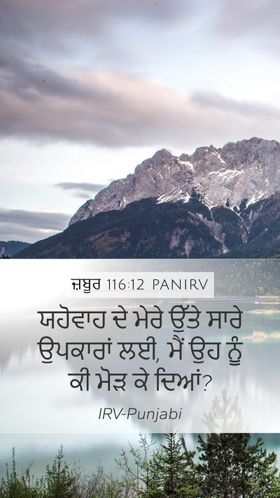ਜ਼ਬੂਰ 116:12 PANIRV Bible Verse Image