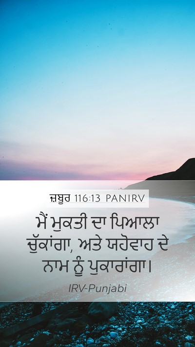 ਜ਼ਬੂਰ 116:13 PANIRV Bible Verse Image