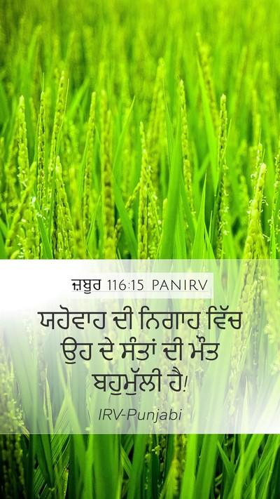 ਜ਼ਬੂਰ 116:15 PANIRV Bible Verse Image