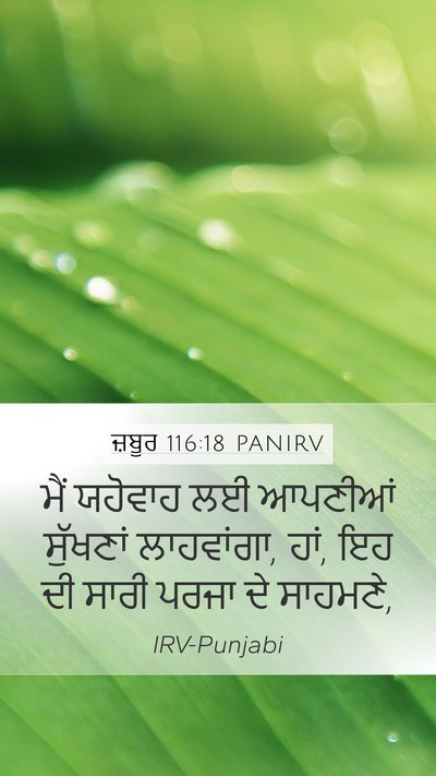 ਜ਼ਬੂਰ 116:18 PANIRV Bible Verse Image