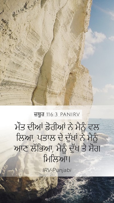 ਜ਼ਬੂਰ 116:3 PANIRV Bible Verse Image
