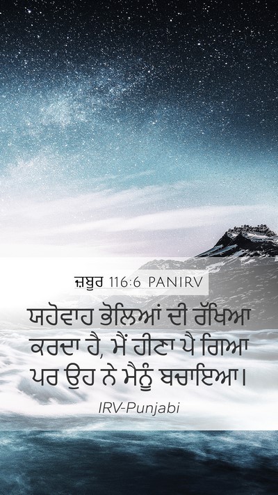 ਜ਼ਬੂਰ 116:6 PANIRV Bible Verse Image
