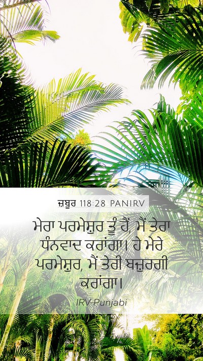 ਜ਼ਬੂਰ 118:28 PANIRV Bible Verse Image
