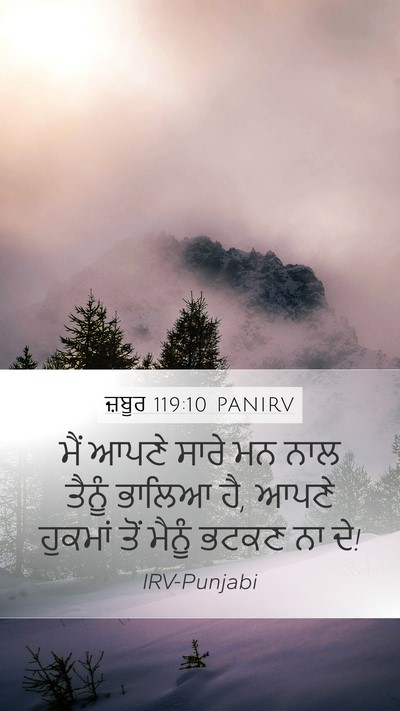 ਜ਼ਬੂਰ 119:10 PANIRV Bible Verse Image