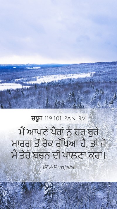 ਜ਼ਬੂਰ 119:101 PANIRV Mobile Phone Wallpaper - ਮੈਂ ਆਪਣੇ ਪੈਰਾਂ ਨੂੰ - Mobile Bible Verse Wallpaper