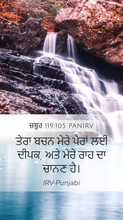 ਜ਼ਬੂਰ 119:105 PANIRV Bible Verse Image