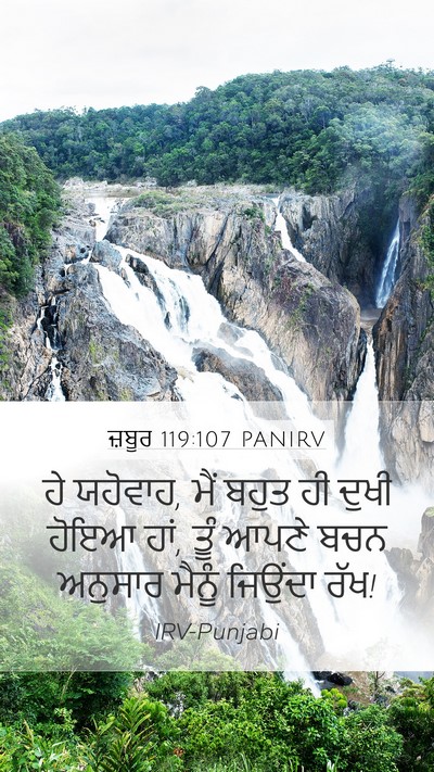 ਜ਼ਬੂਰ 119:107 PANIRV Bible Verse Image