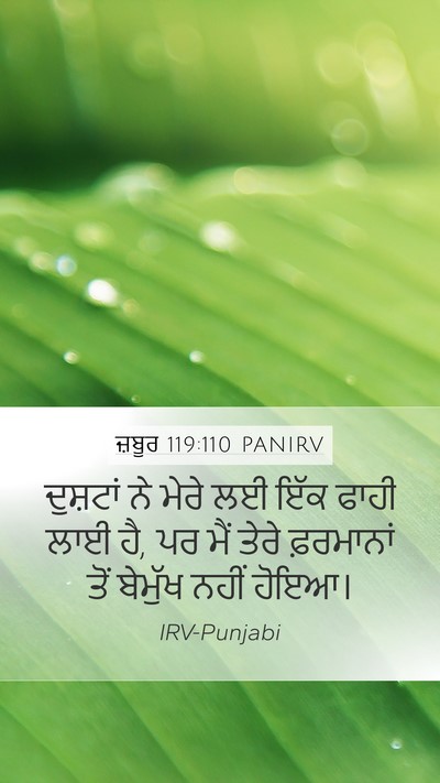 ਜ਼ਬੂਰ 119:110 PANIRV Bible Verse Image