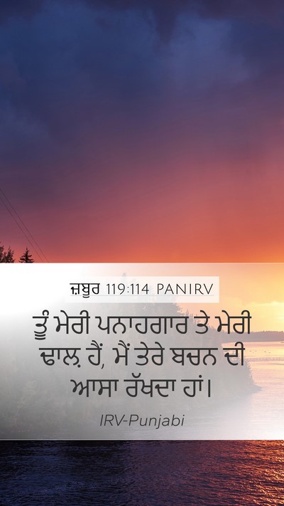 ਜ਼ਬੂਰ 119:114 PANIRV Bible Verse Image