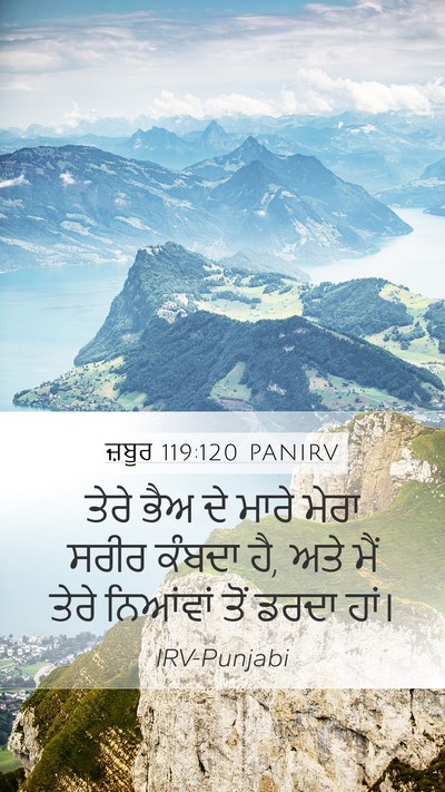ਜ਼ਬੂਰ 119:120 PANIRV Bible Verse Image