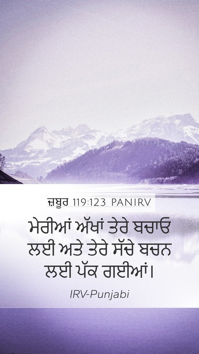 ਜ਼ਬੂਰ 119:123 PANIRV Bible Verse Image