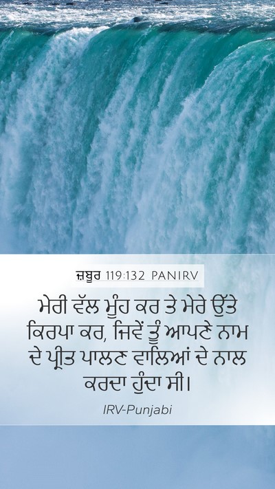 ਜ਼ਬੂਰ 119:132 PANIRV Bible Verse Image
