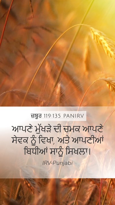 ਜ਼ਬੂਰ 119:135 PANIRV Bible Verse Image