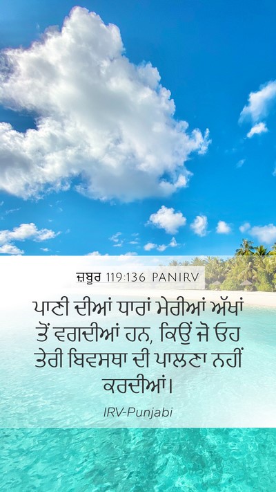 ਜ਼ਬੂਰ 119:136 PANIRV Bible Verse Image